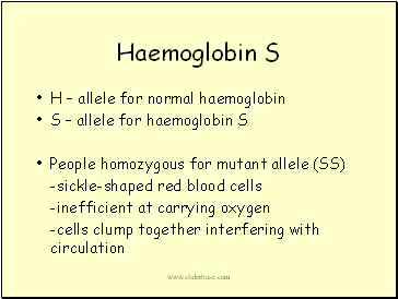Haemoglobin S