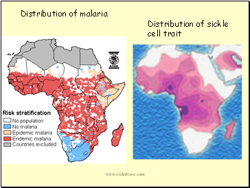 Distribution of malaria