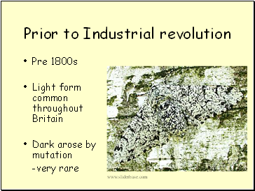 Prior to Industrial revolution