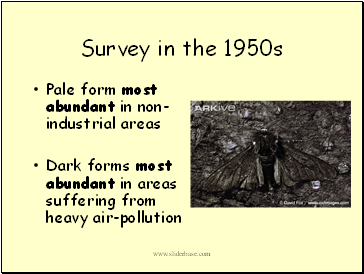 Survey in the 1950s
