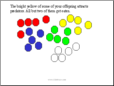 The bright yellow of some of your offspring attracts predators. All but two of them get eaten.