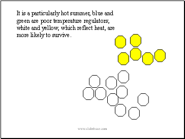 It is a particularly hot summer, blue and green are poor temperature regulators; white and yellow, which reflect heat, are more likely to survive.