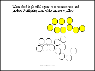 When food is plentiful again the remainder mate and produce 5 offspring some white and some yellow.