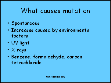 What causes mutation