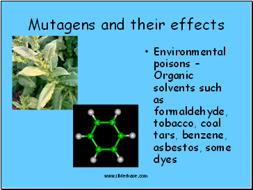 Mutagens and their effects