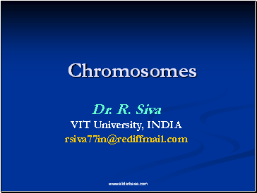 Chromosomes