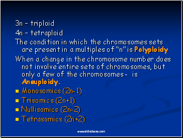 3n  triploid