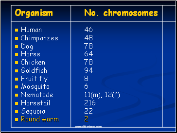 Organism No. chromosomes