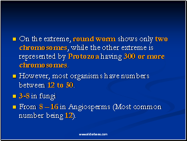 On the extreme, round worm shows only two chromosomes, while the other extreme is represented by Protozoa having 300 or more chromosomes.
