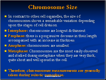 Chromosome Size