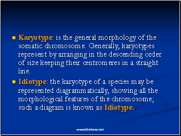 Karyotype: is the general morphology of the somatic chromosome. Generally, karyotypes represent by arranging in the descending order of size keeping their centromeres in a straight line.