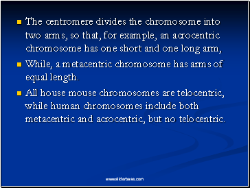 The centromere divides the chromosome into two arms, so that, for example, an acrocentric chromosome has one short and one long arm,