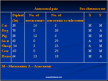 Autosomal pair Sex chromosome