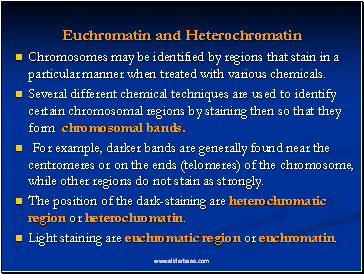Euchromatin and Heterochromatin