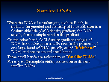 Satellite DNAs
