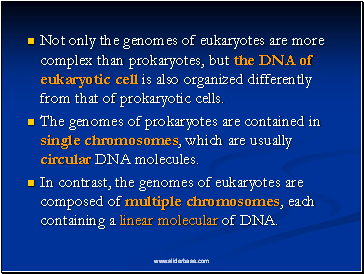 Not only the genomes of eukaryotes are more complex than prokaryotes, but the DNA of eukaryotic cell is also organized differently from that of prokaryotic cells.