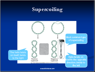 Supercoiling