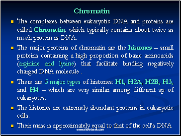 Chromatin