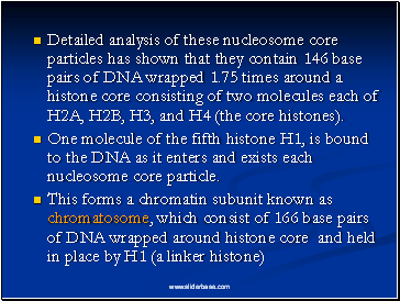 Detailed analysis of these nucleosome core particles has shown that they contain 146 base pairs of DNA wrapped 1.75 times around a histone core consisting of two molecules each of H2A, H2B, H3, and H4 (the core histones).