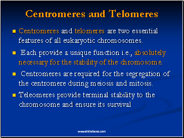 Centromeres and Telomeres