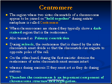 Centromere