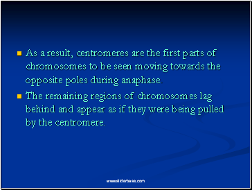 As a result, centromeres are the first parts of chromosomes to be seen moving towards the opposite poles during anaphase.