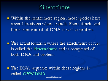 Kinetochore