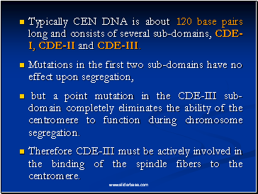 Typically CEN DNA is about 120 base pairs long and consists of several sub-domains, CDE-I, CDE-II and CDE-III.