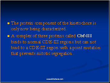 The protein component of the kinetochore is only now being characterized.