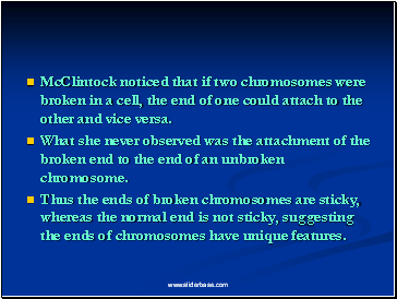 McClintock noticed that if two chromosomes were broken in a cell, the end of one could attach to the other and vice versa.