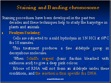 Staining and Banding chromosome