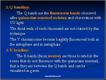 2. Q banding: