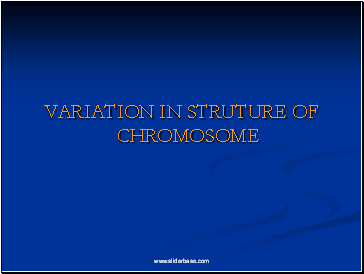 VARIATION IN STRUTURE OF CHROMOSOME