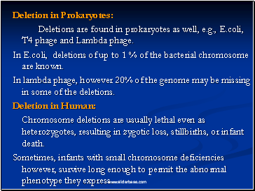 Deletion in Prokaryotes