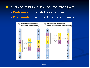 Inversion may be classified into two types: