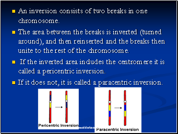An inversion consists of two breaks in one chromosome.