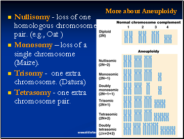 Nullisomy - loss of one homologous chromosome pair. (e.g., Oat )