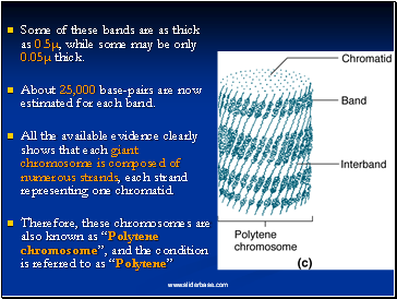 Some of these bands are as thick as 0.5, while some may be only 0.05 thick.