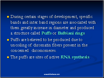 During certain stages of development, specific bands and inter band regions are associated with them greatly increase in diameter and produced a structure called Puffs or Balbiani rings.
