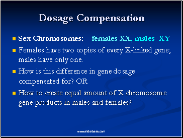 Dosage Compensation