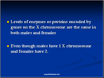 Levels of enzymes or proteins encoded by genes on the X chromosome are the same in both males and females