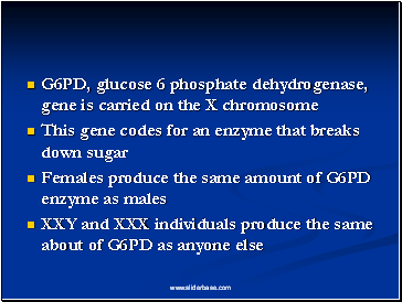 G6PD, glucose 6 phosphate dehydrogenase, gene is carried on the X chromosome