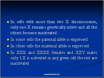In cells with more than two X chromosomes, only one X remains genetically active and all the others become inactivated.