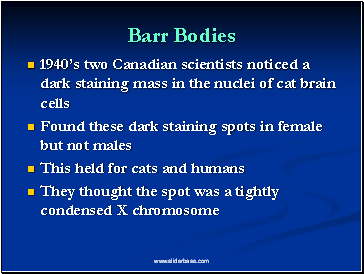 Barr Bodies