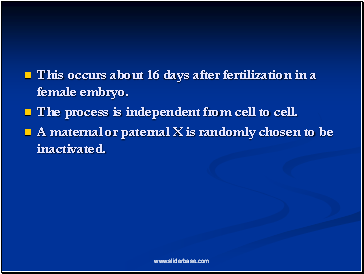 This occurs about 16 days after fertilization in a female embryo.