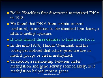 Rollin Hotchkiss first discovered methylated DNA in 1948.