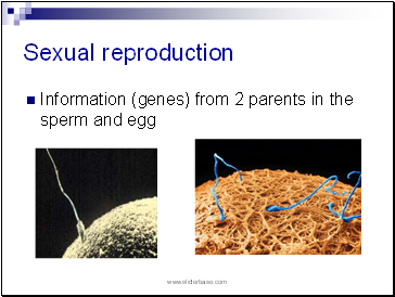 Sexual reproduction