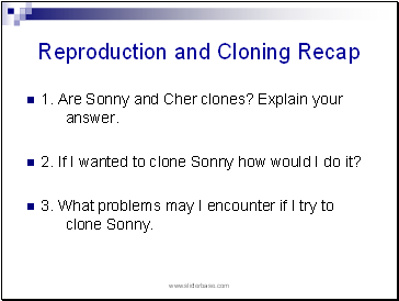 Reproduction and Cloning Recap