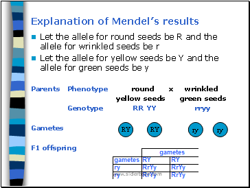 Explanation of Mendel’s results