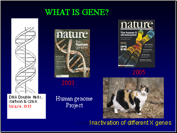 DNA Double Helix,